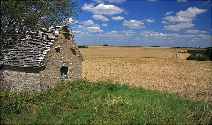 OA118