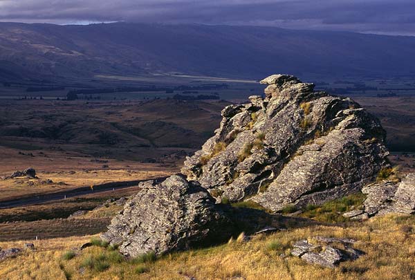 NZ30