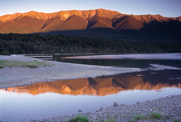 NZ36
