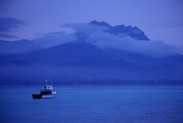 NZ40